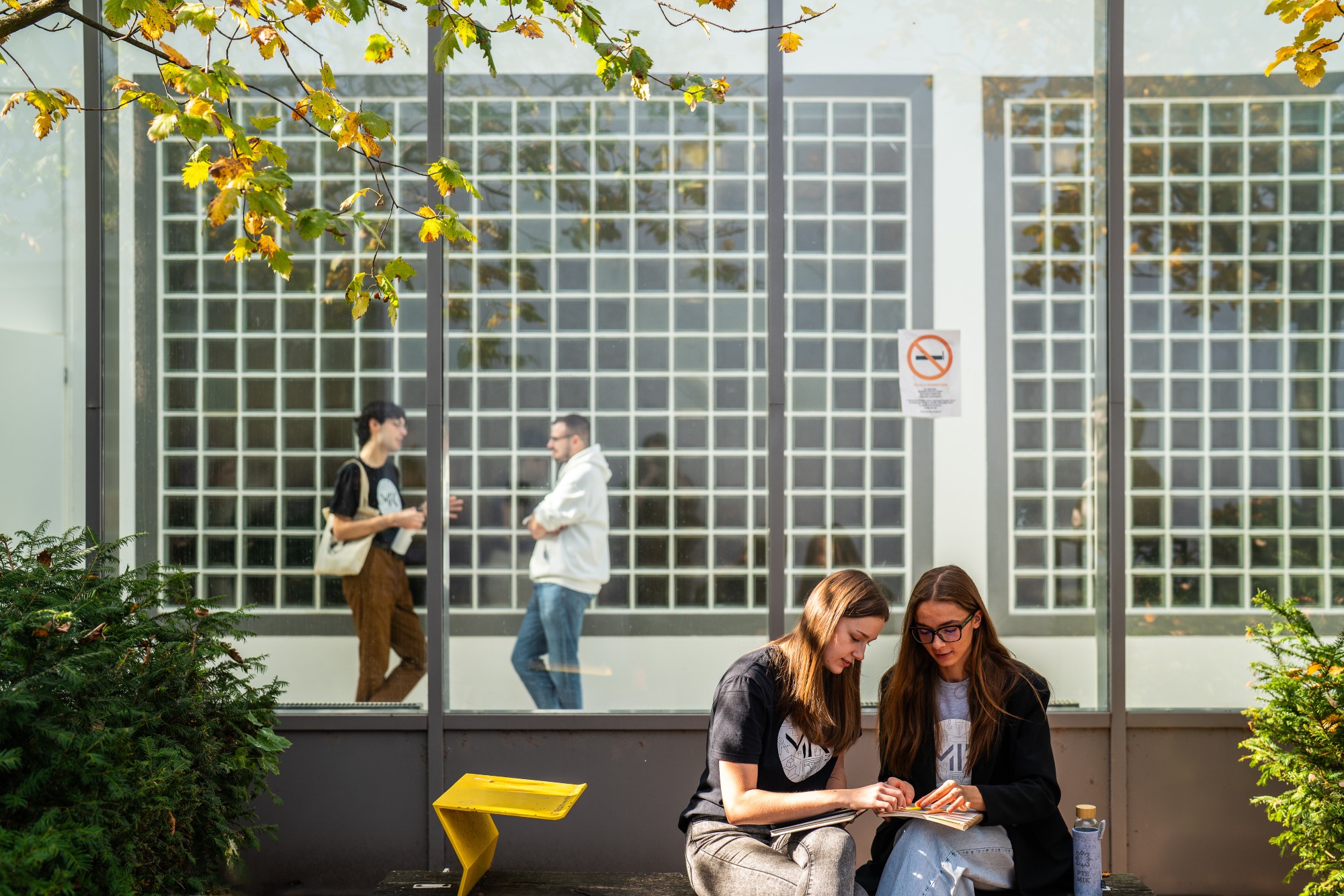 Mindenre kiterjedő mentorhálózat támogatja a hallgatókat a PTE MIK-en