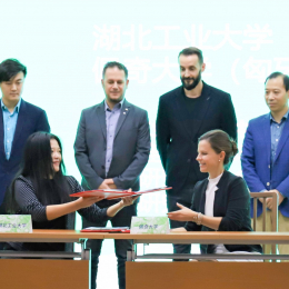 Autumn programs in Wuhan, China: Biennial, Conference, Innovation