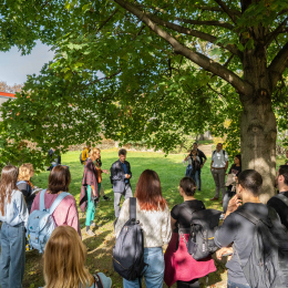 Cultural Puzzle Erasmus Blended Intensive Program