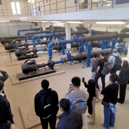 Dr. Pál-Schreiner Judit  - Tettye Forrásház Zrt. 