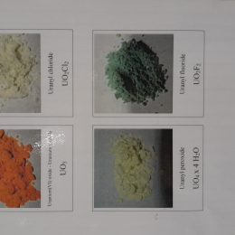 Pataki Tamás  - Bányavagyon-hasznosító Nonprofit Közhasznú Kft Pécs-Kökényi Regionális Hulladékkezelő Központ 